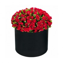 15 red bush roses in a hat box