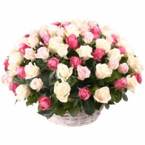 Basket of 71 cream and pink roses 