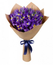 Bouquet of 25 irises