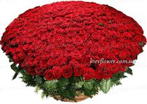 Basket of 501 Roses 